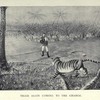 How I Killed The Tiger – Being An Account of My Encounter With A Royal Bengal Tiger: pictures from a 1902 hunt