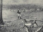 How I Killed The Tiger – Being An Account of My Encounter With A Royal Bengal Tiger: pictures from a 1902 hunt
